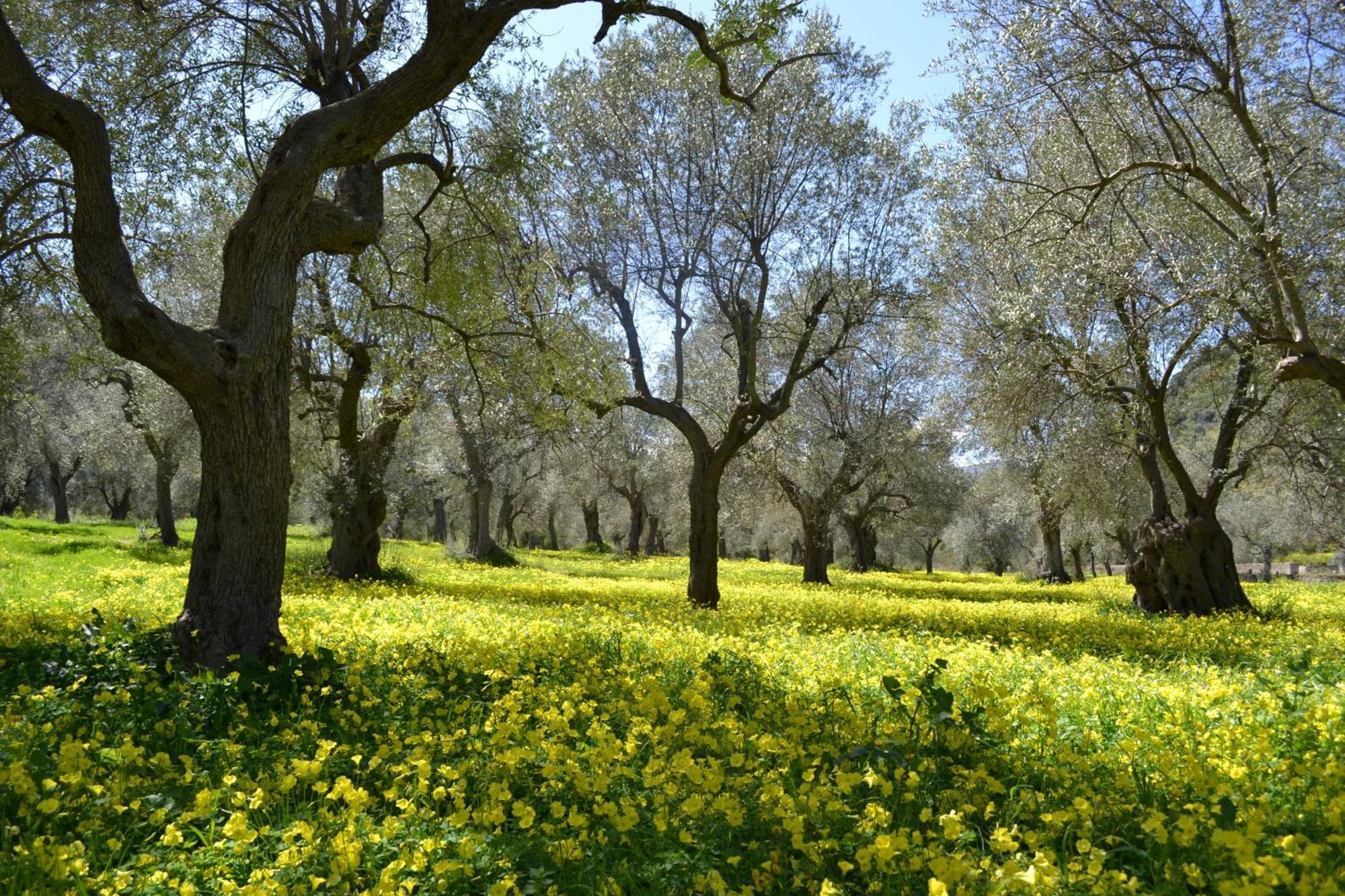 Agriturismo Malena Amica Zewnętrze zdjęcie